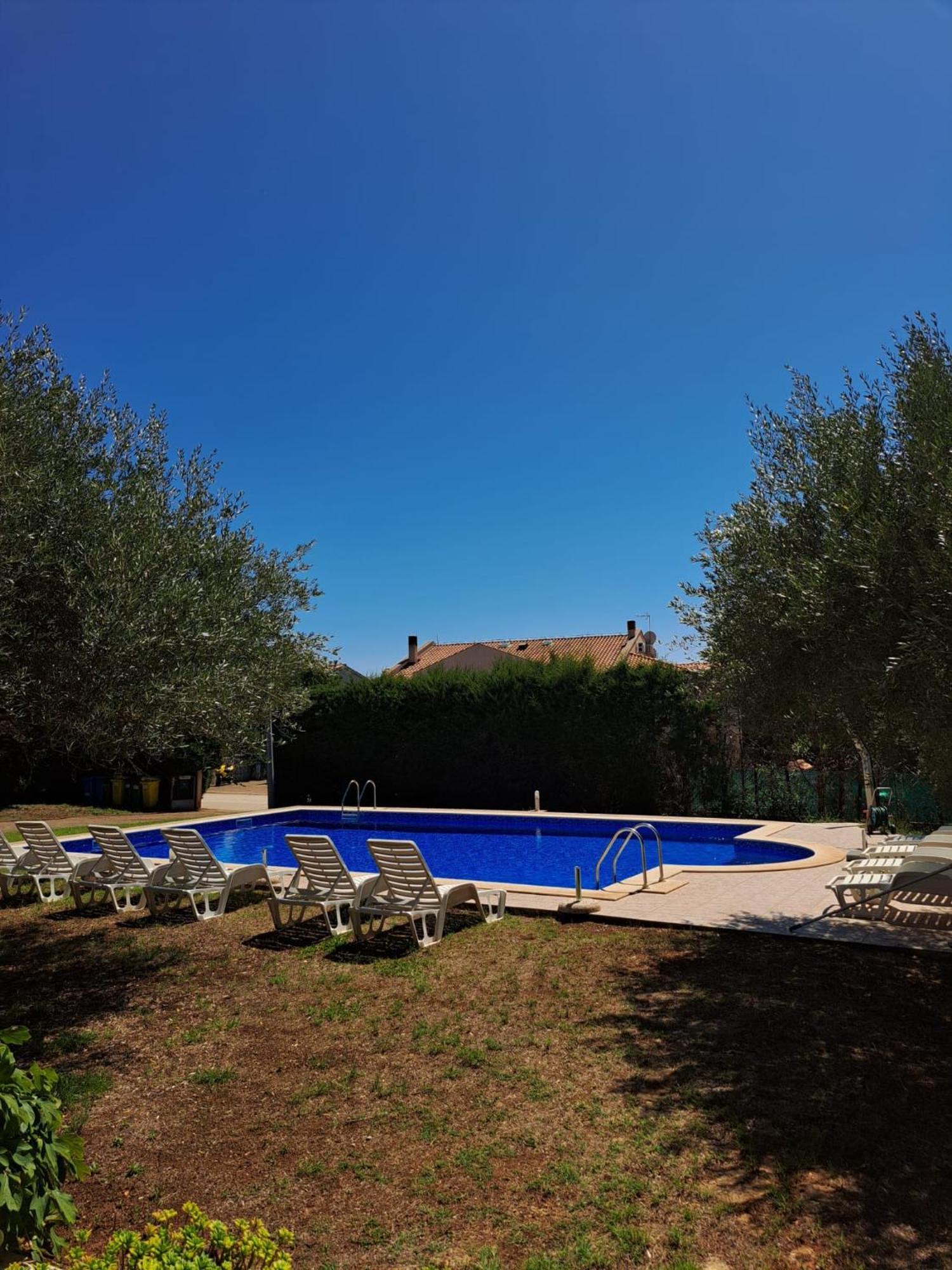 Apartment Dragica Porec Room photo